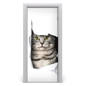 Fototapeta samolepiace na dvere mačka v diere