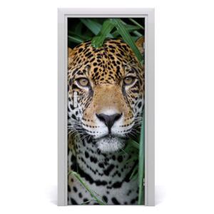 Fototapeta samolepiace na dvere Amazónie jaguár