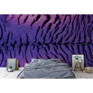 Fototapeta - Tiger Animal Purple Vliesová tapeta - 250x104 cm