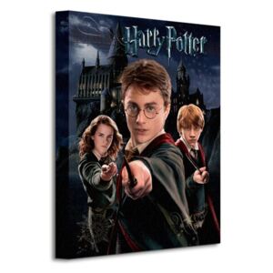 Obraz na plátne Harry Potter (Harry, Ron, Hermiona) 30x40cm WDC92242
