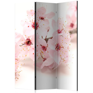 Paraván - Cherry Blossom [Room Dividers] 135x172 7-10 dní