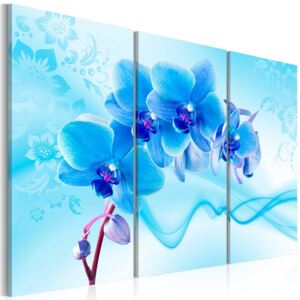 Obraz na plátne - Ethereal orchid - blue 60x40 cm