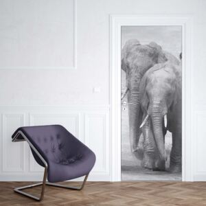 GLIX Fototapeta na dvere - Elephants Black And White Animals
