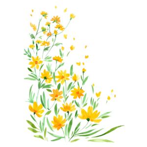 Ilustrácia Yellow watercolor wildflowers, Blursbyai