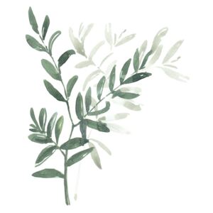 Ilustrácia Watercolor laurel branch, Blursbyai