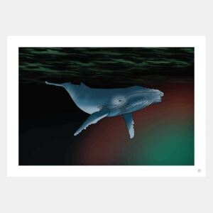 ARTYLIST Obraz Whale bez rámu