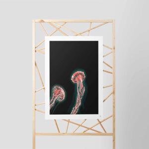 ARTYLIST Obraz Jellyfish bez rámu
