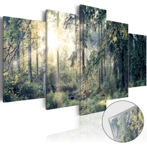 Obraz na akrylátovom skle - Fairytale Landscape [Glass] 100x50
