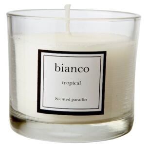 Vonná sviečka v skle Bianco Tropical Affari AB 420-281-01