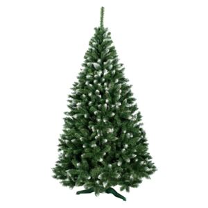Vianočný stromček Konrad 120 cm