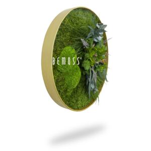 Bemoss® - E-SHOP - Machový obraz kruh Rastliny R1