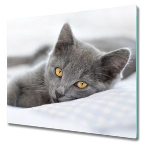 Sklenená doska na krájanie sivá mačka