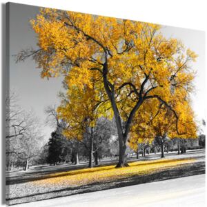 Murando DeLuxe Obraz podzim v parku - žlutý 90x60 cm