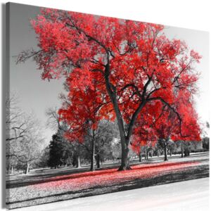 Murando DeLuxe Obraz podzim v parku - červený 90x60 cm