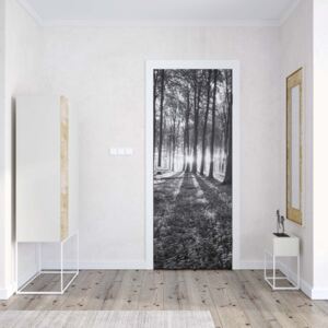 GLIX Fototapeta na dvere - Forest Landscape Black And White