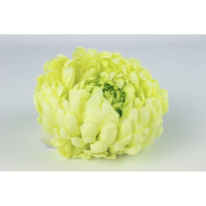 Zelená umelá hlava chryzantémy 14cm