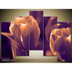 Moderné obrazy kvetín (F003601F12590)