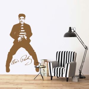 GLIX Elvis Presley - samolepka na stenu Hnedá 90x50 cm