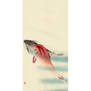 Obraz na plátne Ohara Koson - Two Carp, (30 x 60 cm)