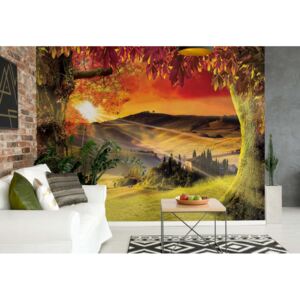 Fototapeta - Tuscan Landscape Italy Sunset Vliesová tapeta - 416x254 cm