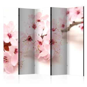 Paraván Cherry Blossom Dekorhome 225x172 cm (5-dielny)