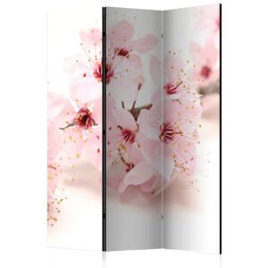 Paraván Cherry Blossom Dekorhome 135x172 cm (3-dielny)