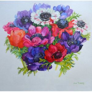 Reprodukcia, Obraz - Anemones: red, white, pink and purple, 2000,, Joan Thewsey