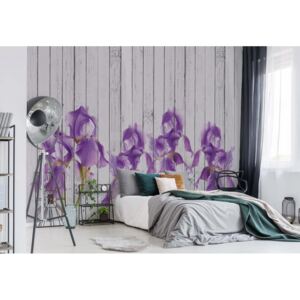 Fototapeta - Wood Planks And Purple Flowers Vintage Chic Vliesová tapeta - 416x254 cm