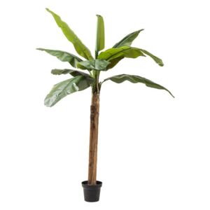 KARE DESIGN Dekoratívny predmet Plant Banana Tree 190 cm