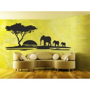 Samolepky na stenu - Afrika - 40 x 90 cm - 211