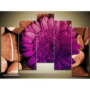 Moderné obrazy kvetín (F003786F12590)