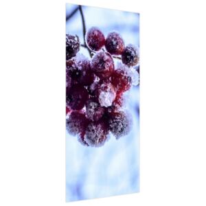 Samolepiaca fólia na dvere Zamrznuté ovocie 95x205cm ND4753A_1GV