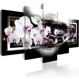 Obraz na plátne - Orchids on a black background 100x50 cm