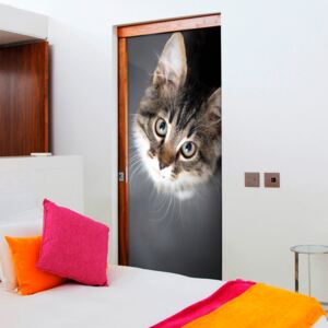 Fototapeta na dvere Bimago - Charming Kitten + lepidlo zadarmo 80x210 cm