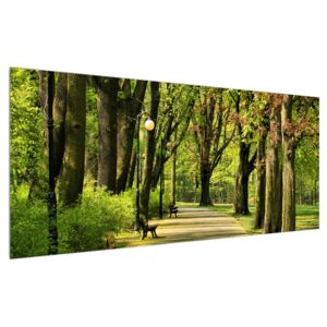 Obraz uličky v parku (120x50 cm)