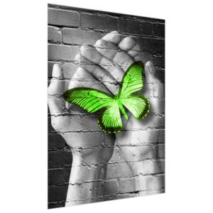 Roleta s potlačou Zelený motýľ v dlaniach 110x150cm FR2362A_1ME