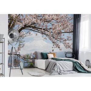 Fototapeta GLIX - Cherry Blossom Tree + lepidlo ZADARMO Vliesová tapeta - 254x184 cm