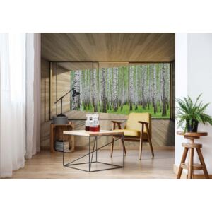 Fototapeta GLIX - Birch Forest 3D + lepidlo ZADARMO Vliesová tapeta - 208x146 cm