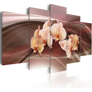 Obraz na plátne Bimago - Orchideje na hnědém pozadí 100x50 cm