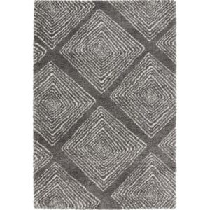 Mint Rugs - Hanse Home koberce Kusový koberec Allure 102763 grau creme - 120x170 cm