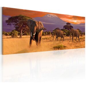 Obraz na plátne - March of african elephants 120x40 cm