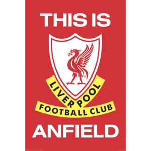 Plagát, Obraz - Liverpool FC - This Is Anfield, (61 x 91,5 cm)
