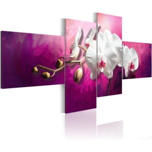 Obraz na plátne - Orchids in violets 200x90