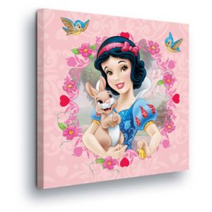 Obraz na plátne - Portrait of Disney Snow White 80x80 cm