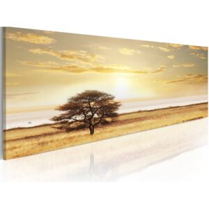 Obraz na plátne Bimago - Lonely tree on savannah 120x40 cm