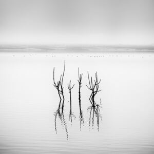 Umelecká fotografia Vegoritida Lake 005, Gilbert Claes
