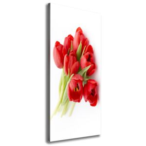 Foto obraz na plátne Červené Tulipány