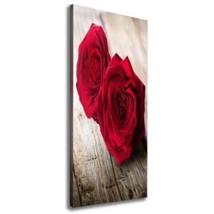 Foto obraz na plátne Červené Ruže