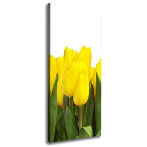 Foto obraz na plátne Žlté Tulipány