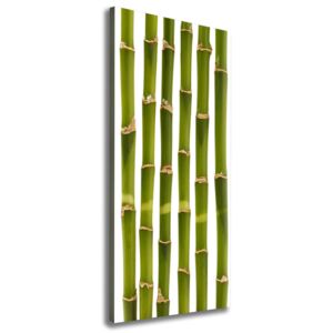 Moderné fotoobraz canvas na ráme Bambus